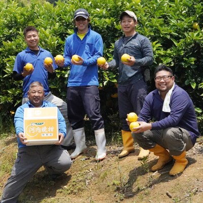 【訳あり】フルーツアイランド・マルエム直販の愛南産の河内晩柑5kg