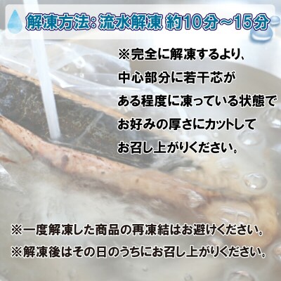 訳あり かつおのたたき 2.3kg サイズ 不揃い 規格外 傷 小分け 真空 パック 新鮮 鮮魚