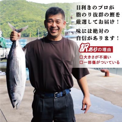 【カツオランキング1位】 高評価★4.8 訳あり かつおのたたき 2.5kg 鰹タタキ