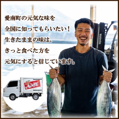 訳あり かつおのたたき 2.3kg サイズ 不揃い 規格外 傷 小分け 真空 パック 新鮮 鮮魚