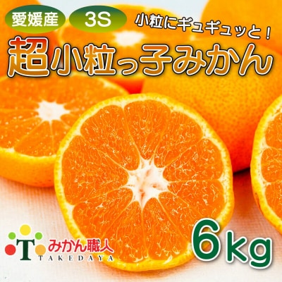 愛媛 みかん 小粒 6kg みかん職人武田屋 超小粒っ子 光センサー 蜜柑 柑橘 果物 フル