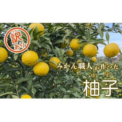 【訳あり】みかん職人の柚子(ゆず)5kg 柑橘 果物 フルーツ みかん職人武田屋