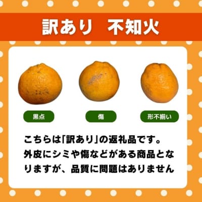 先行受付 訳あり 不知火 3kg みかん 柑橘 フルーツ 果物 みかん職人武田屋