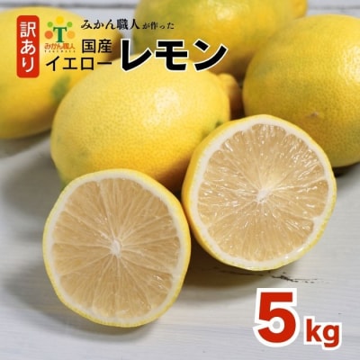 訳あり イエロー レモン りのか 5kg 愛媛県 愛南町みかん職人武田屋