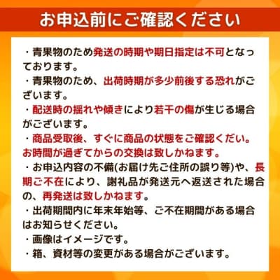 訳あり イエロー レモン りのか 5kg 愛媛県 愛南町みかん職人武田屋