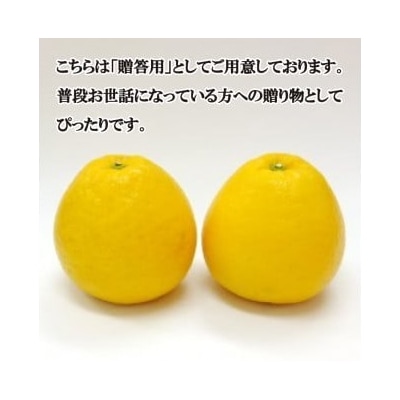 【先行予約】 【高評価★5】贈答用 河内晩柑 5kg みかん 吉田農園 愛南町 愛媛県