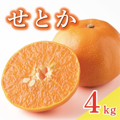せとか 4kg みかんの山祥 愛南町 愛媛県