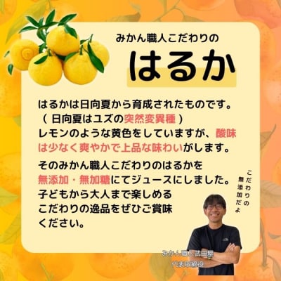 無添加 はるか ジュース 720ml 3本 果汁 100% 柑橘 果物 国産 みかん職人武田屋
