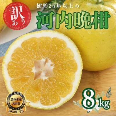【訳あり】 河内晩柑(愛南ゴールド) 8kg 吉本農園 みかん 愛媛県 愛南町