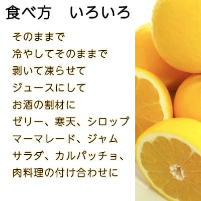 【訳あり】 河内晩柑(愛南ゴールド) 9kg+傷み保証約1kg 吉本農園 みかん 愛媛県 愛南町