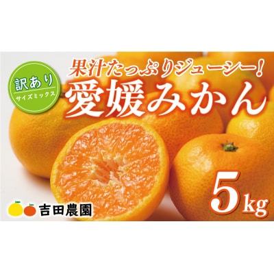 【高評価 ★4.7】 訳あり 愛媛みかん 5kg 温州みかん ミカン 愛南町 愛媛県 吉田農園