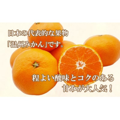 先行受付 愛媛みかん 5kg 愛媛 みかん 温州みかん 蜜柑 ミカン 柑橘 愛南町 愛媛県 吉田農園