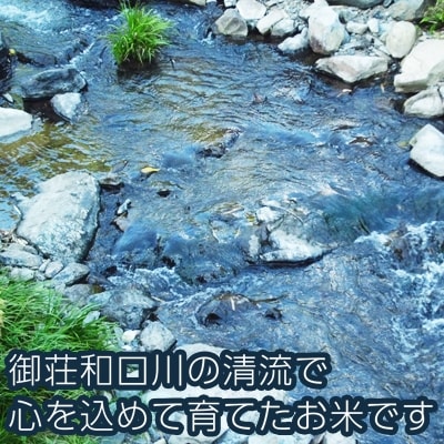 令和5年産 ひめの凜5kg