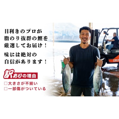 訳あり かつおのたたき 2.5kg サイズ 不揃い 規格外 傷 小分け 真空 パック 新鮮 鮮魚