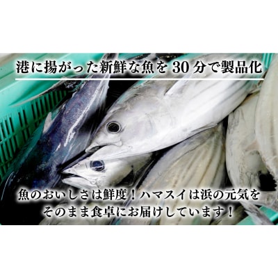 訳あり かつおのたたき 2.5kg サイズ 不揃い 規格外 傷 小分け 真空 パック 新鮮 鮮魚