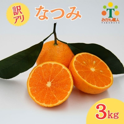 先行予約【訳あり】みかん職人のなつみ 3kg みかん 果物 柑橘 フルーツ 蜜柑 みかん職人武田屋