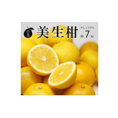 先行受付 数量限定 訳あり 小玉 美生柑 約7kg