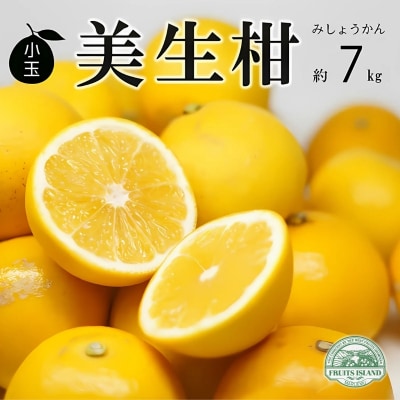 先行受付 数量限定 訳あり 小玉 美生柑 約7kg