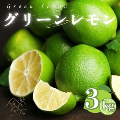 清家ばんかんビレッジの訳ありレモン 3kg