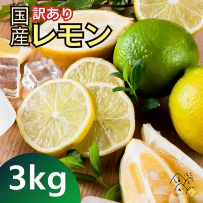 訳あり 国産 レモン 3kg 皮 まで 安心 愛媛県 愛南町 清家ばんかんビレッジ