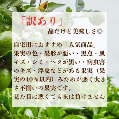 清家ばんかんビレッジの訳ありレモン 3kg