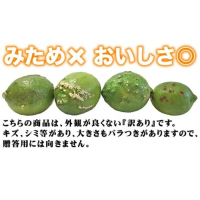 清家ばんかんビレッジの訳ありレモン 3kg