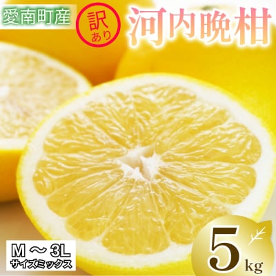 訳あり 河内晩柑 5kg 傷み補償250g付 愛南ゴールド 柑橘 愛南町 清家ばんかんビレッジ