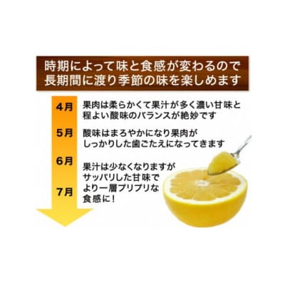 訳あり 河内晩柑 5kg 傷み補償250g付 愛南ゴールド 柑橘 愛南町 清家ばんかんビレッジ