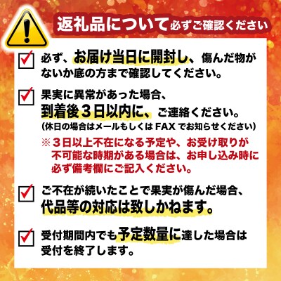 先行受付 訳あり 河内晩柑 10kg 柑橘 愛媛 愛南 清家ばんかんビレッジ