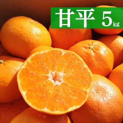 先行受付 フルーツアイランド・マルエム産 甘平 約5kg 