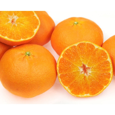 先行受付 フルーツアイランド・マルエム産 甘平 約5kg 