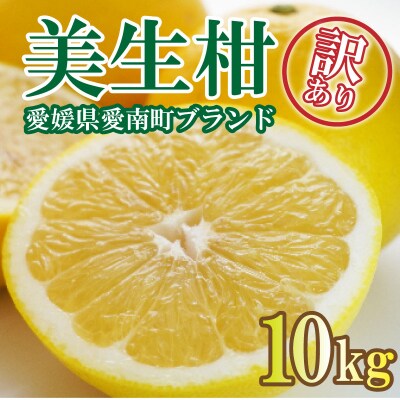 【先行受付】【2027年3月1日～】訳あり 美生柑 約10kg フルーツアイランド・マルエム直販