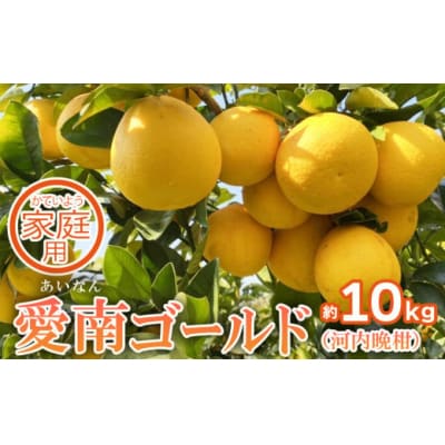 家庭用 先行予約 2026年発送 愛南ゴールド(河内晩柑)約10kg 前田ファーム