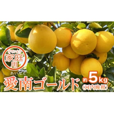 【先行予約】 家庭用 愛南ゴールド(河内晩柑)約5kg 前田ファーム