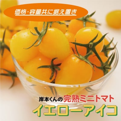 岸本くんの完熟ミニトマト イエローアイコ 180gパック×8