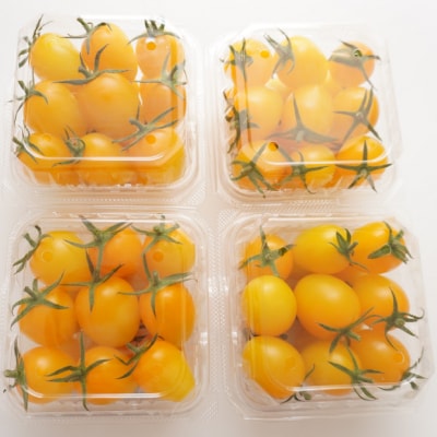 岸本くんの完熟ミニトマト イエローアイコ 180gパック×8