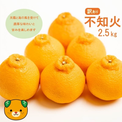 先行受付 訳あり 減農薬 不知火 2.5kg 愛媛県 愛南町 愛南フルーツ