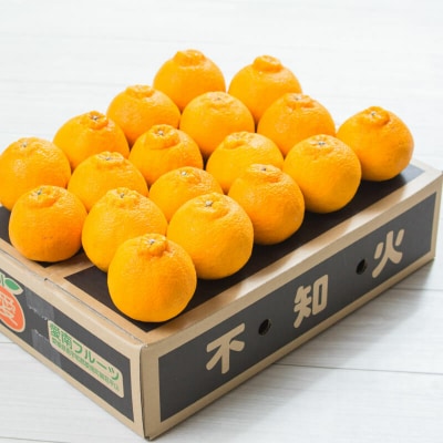 先行受付 訳あり 減農薬 不知火 2.5kg 愛媛県 愛南町 愛南フルーツ