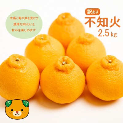 先行受付 訳あり 減農薬 不知火 2.5kg 愛媛県 愛南町 愛南フルーツ