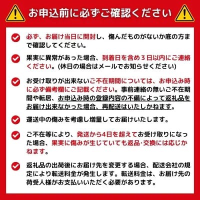 先行受付 訳あり 減農薬 不知火 2.5kg 愛媛県 愛南町 愛南フルーツ