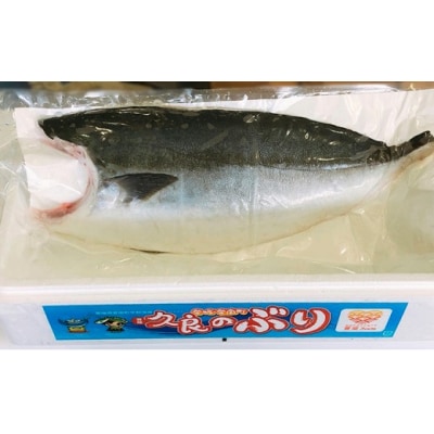 5kg 以上 の 久良の ぶり 半身フィレタイプ×2枚