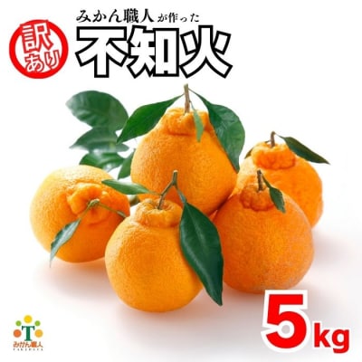 先行受付 訳あり 不知火 5kg 発送期間 2月上旬～なくなり次第終了 みかん職人武田屋