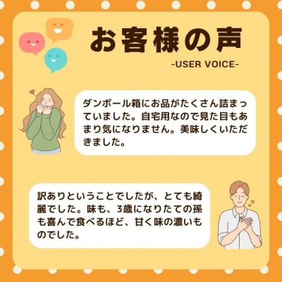 先行受付 訳あり 不知火 5kg 発送期間 2月上旬～なくなり次第終了 みかん職人武田屋