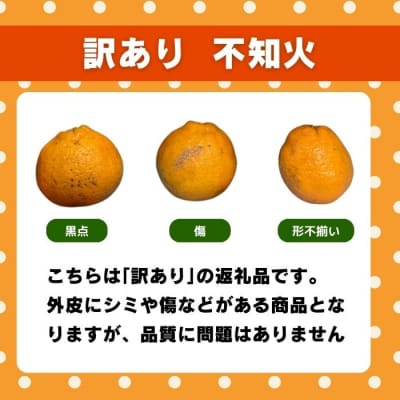 先行受付 訳あり 不知火 5kg 発送期間 2月上旬～なくなり次第終了 みかん職人武田屋