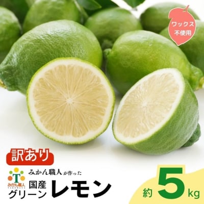 訳あり グリーンレモン りのか 5kg ワックス不使用 柑橘 レモン みかん職人武田屋 愛南町