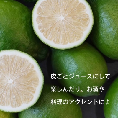 訳あり グリーンレモン りのか 5kg ワックス不使用 柑橘 レモン みかん職人武田屋 愛南町