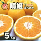 訳あり 晴姫 はれひめ 5kg フルーツ 果物 みかん 柑橘 みかん職人武田屋