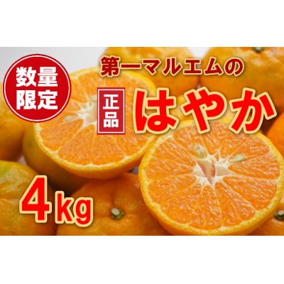 第一マルエムの早香(はやか)秀品4kg