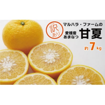 【訳あり】 マルハラファーム 甘夏 7kg