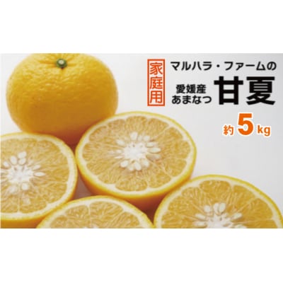 【家庭用】 マルハラファーム 甘夏 5kg